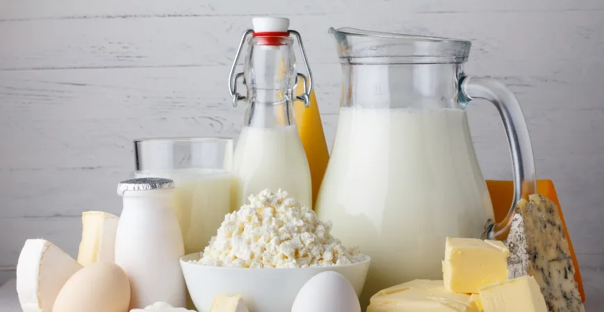 Las 5 empresas importantes de productos lacteo en mexico