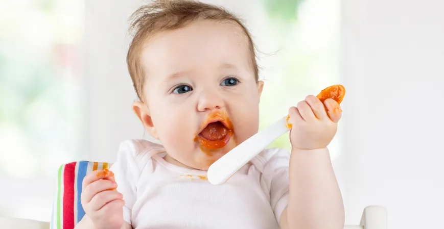 Las Empresas de Alimentos para Bebes y Formulas Infantiles en America Latina