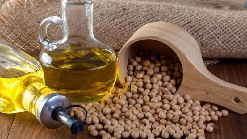 Las 5 Empresas Eminentes de Aceite de Soja en América Latina