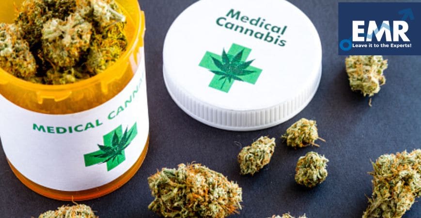Las 5 Empresas Vitales de Cannabis Medicinal en América Latina