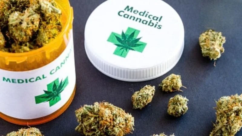 Las 5 Empresas Vitales de Cannabis Medicinal en América Latina