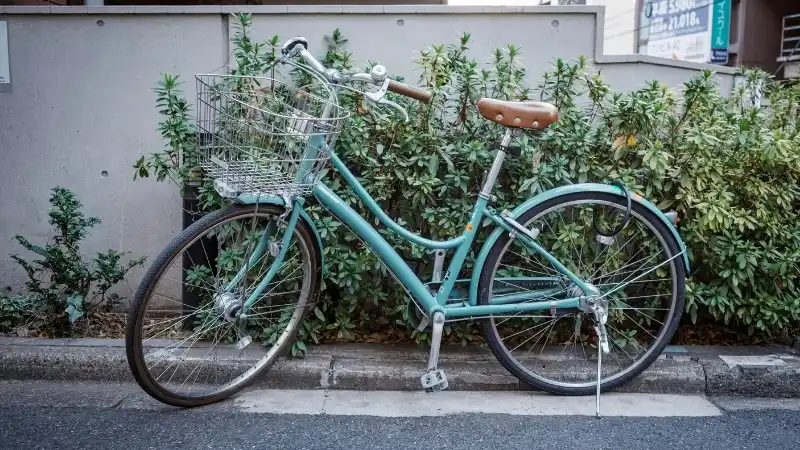 Las Empresas Prominentes de Bicicletas en America Latina