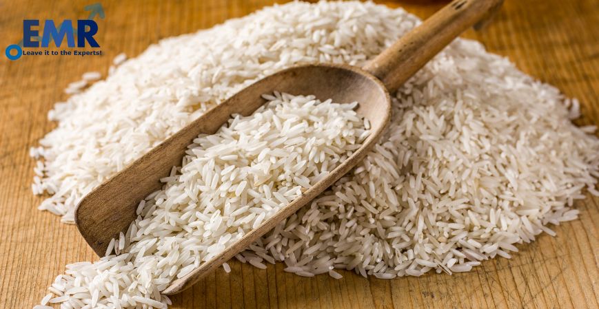 Las 5 Empresas Vitales de Proteína de Arroz en América Latina