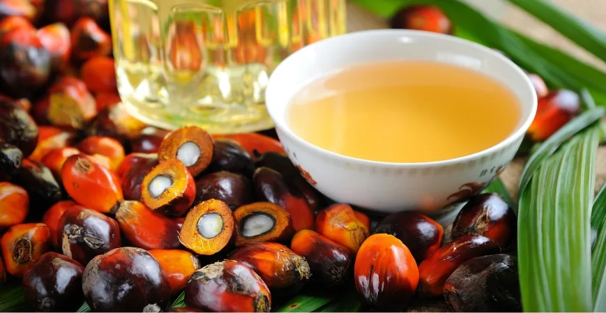 Las Mayores Empresas de Aceite de Palma en Colombia