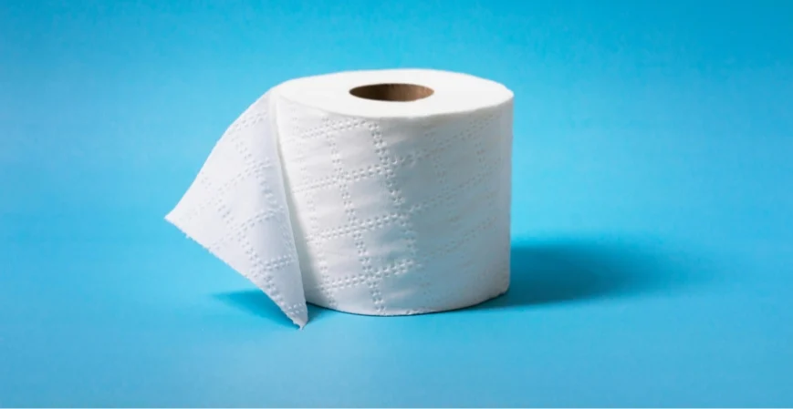 Las 5 Principales Empresas de Papel Higiénico en América Latina