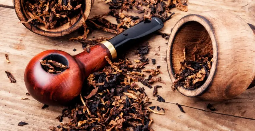 Los Principales Productores de Tabaco en America Latina