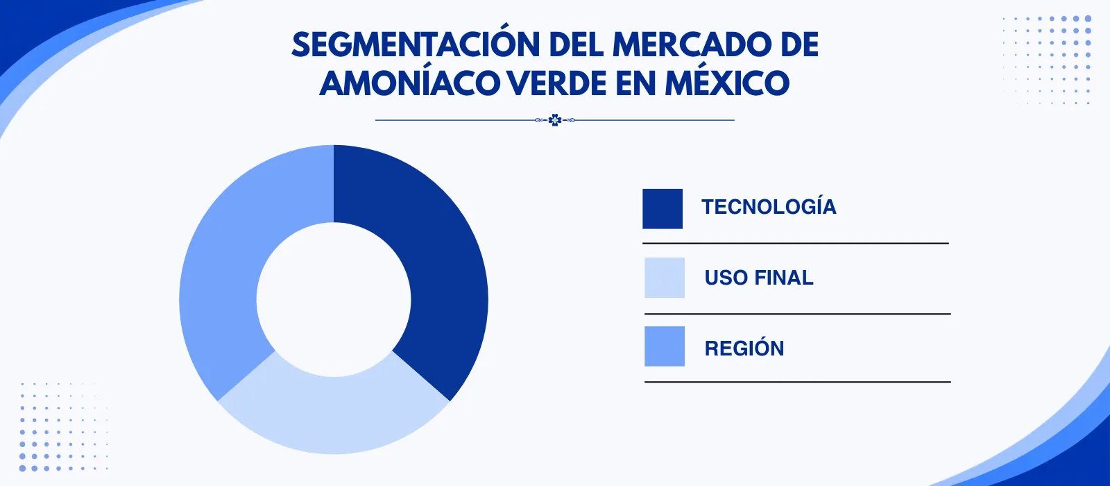 Segmentación del Mercado de Amoníaco Verde en México