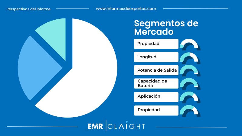 Segmento del Mercado de Autobuses Eléctricos en México