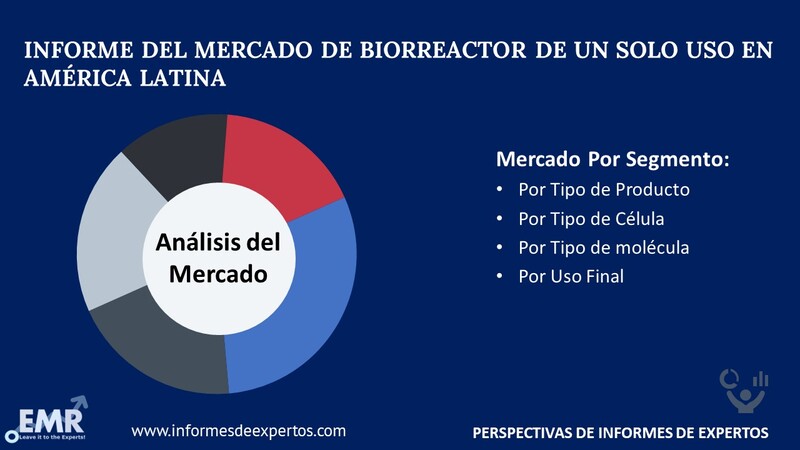 Mercado de Biorreactor de un Solo Uso en América Latina Segmento