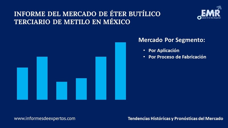 Mercado de Éter Butílico Terciario de Metilo en México Segmento