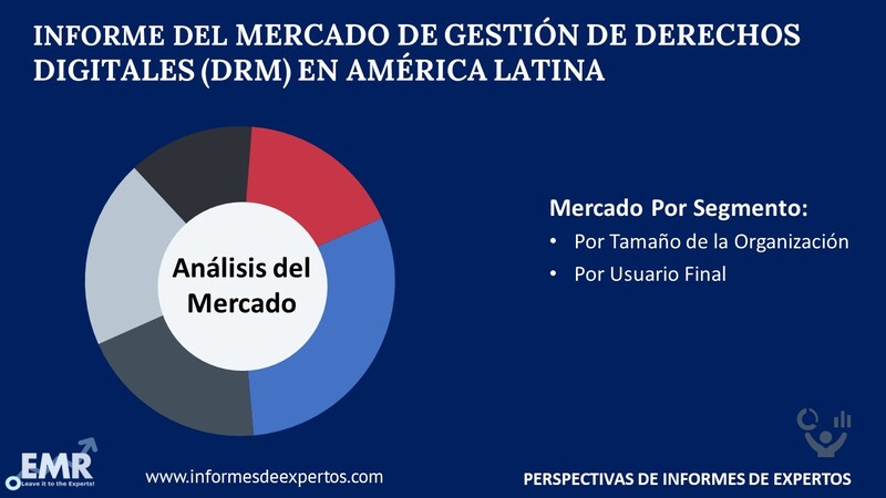 Mercado de Gestión de Derechos Digitales (DRM) en América Latina Segmento