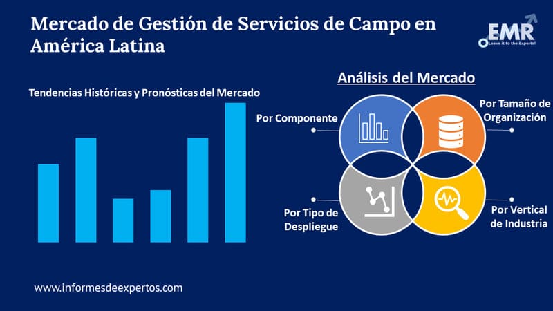 Mercado de Gestionde Servicios de Campo en America Latina Segmento