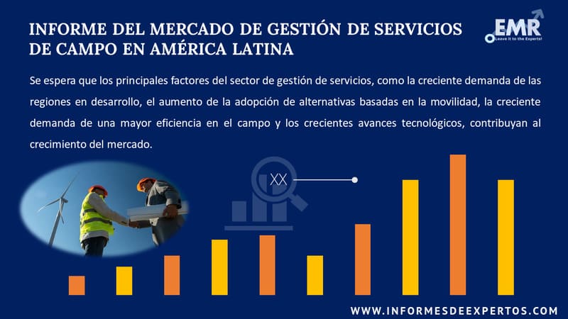 Mercado de Gestionde Servicios de Campo en America Latina