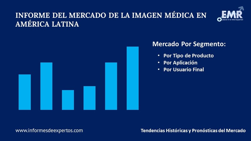 Mercado de la Imagen Médica en América Latina Segmento