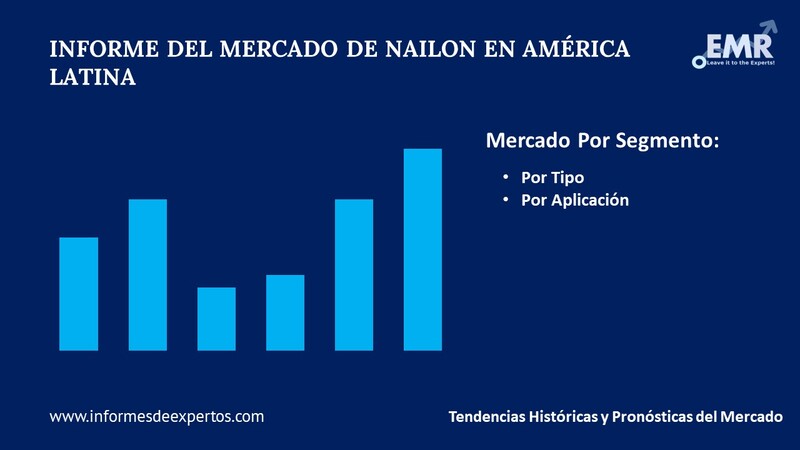 Mercado de Nailon en América Latina Segmento