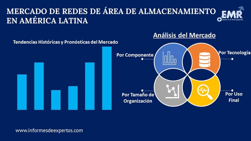 Mercado de Redes de Area de Almacenamiento en America Latina Segmento