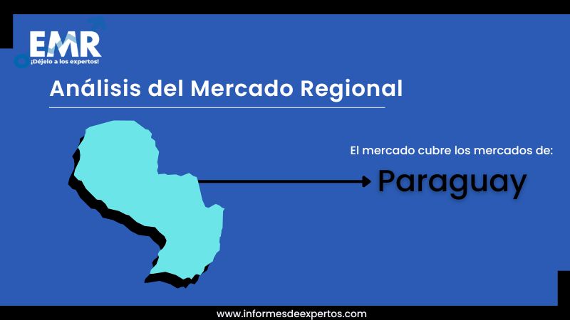 Mercado de Ropa Deportiva de Paraguay Region
