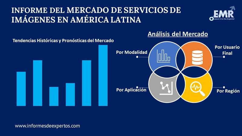 Mercado de Servicios de Imágenes en América Latina Segmento
