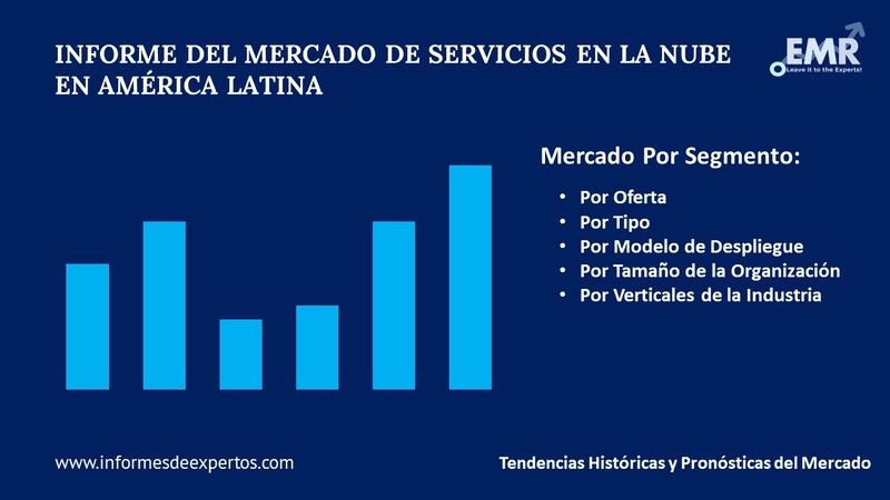 Mercado de Servicios en la Nube en América Latina Segmento