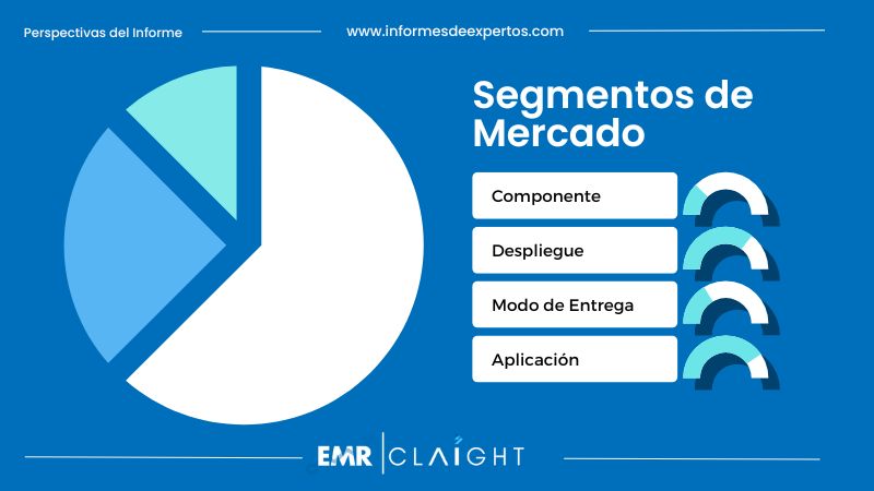 Segmento del Mercado de Sistema de Gestión del Aprendizaje en el Sector Sanitario en Brasil