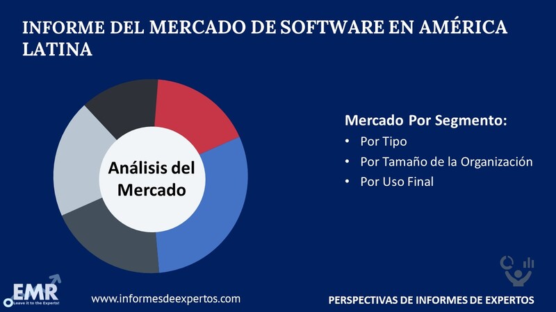 Mercado de Software en América Latina Segmento