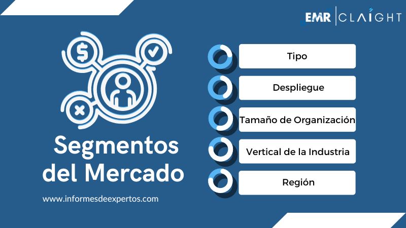 Mercado de Software Segmento