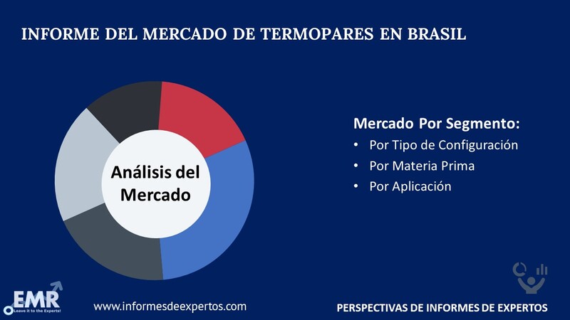 Mercado de Termopares en Brasil Segmento