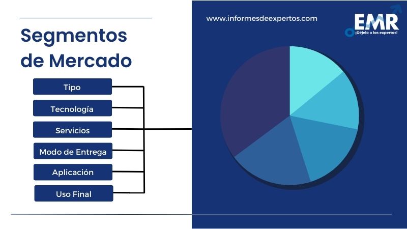 Mercado Latinoamericano de Transformación Digital Segmento